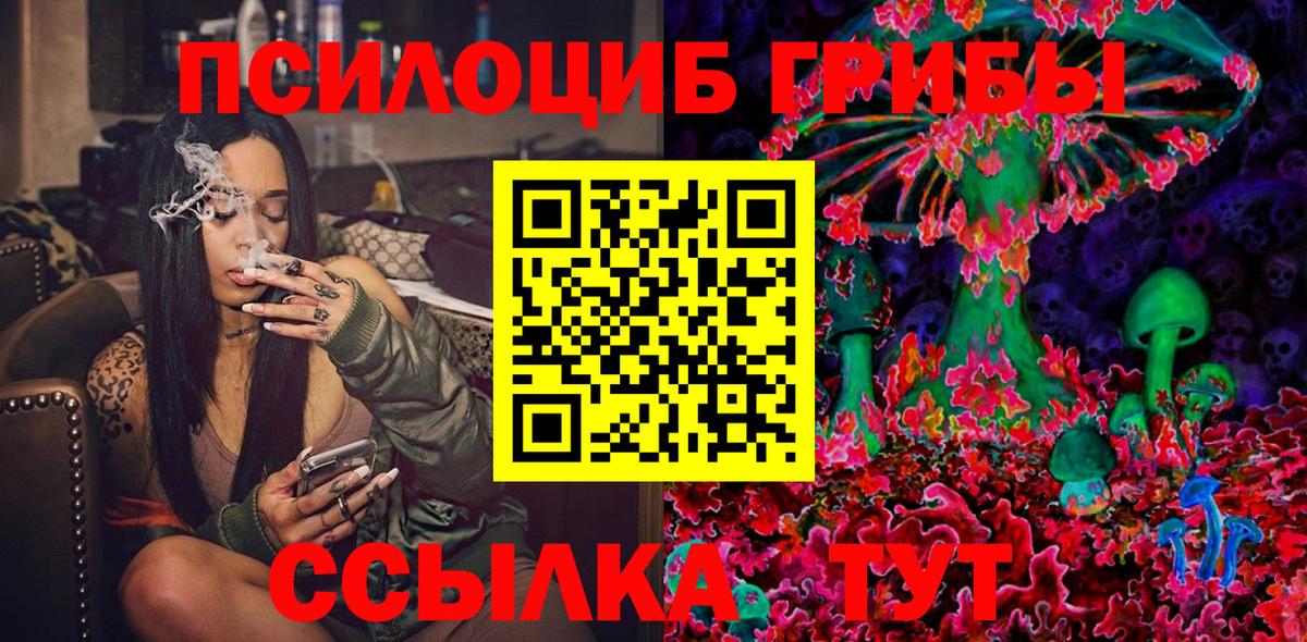 Галлюциногенные грибы Psilocybe Архангельск