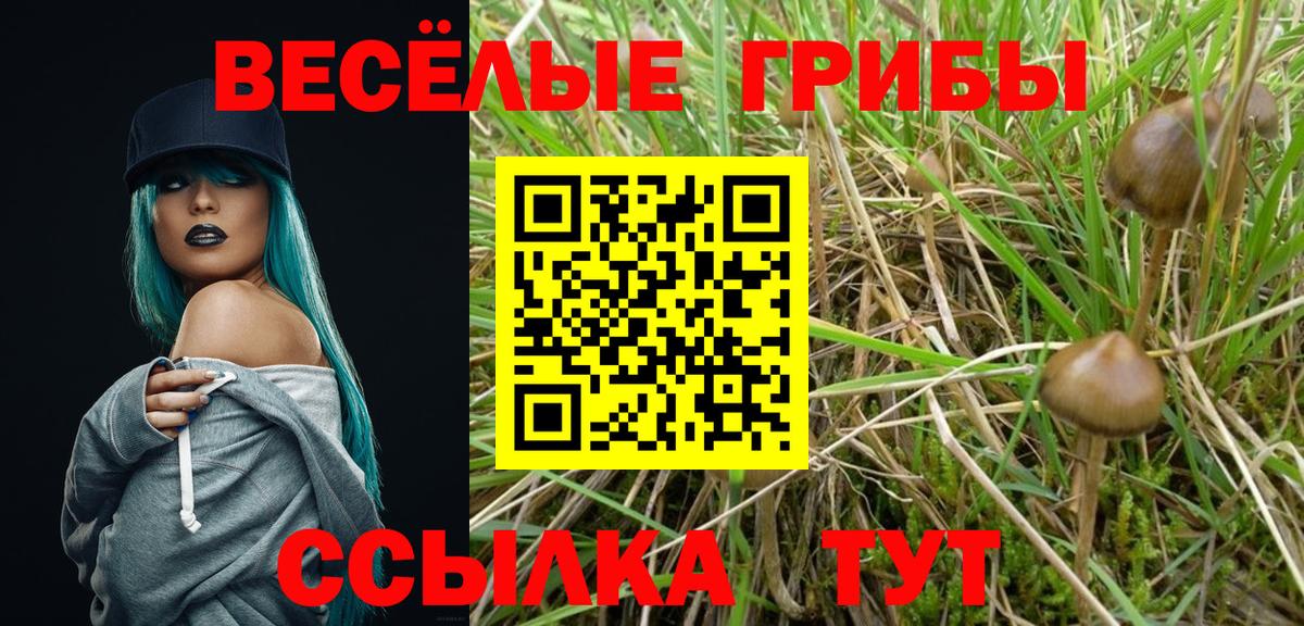 Архангельск  Галлюциногенные грибы мухоморы  Вход с VPN  Галлюциногенные грибы Magic Shrooms 